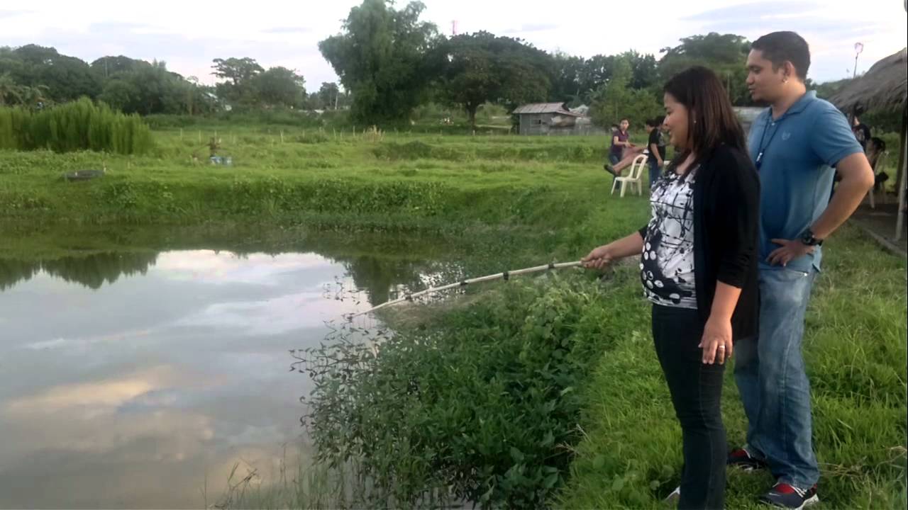 Umpan Mancing Sidat Di Sungai Terbukti Paten Mancingikannet